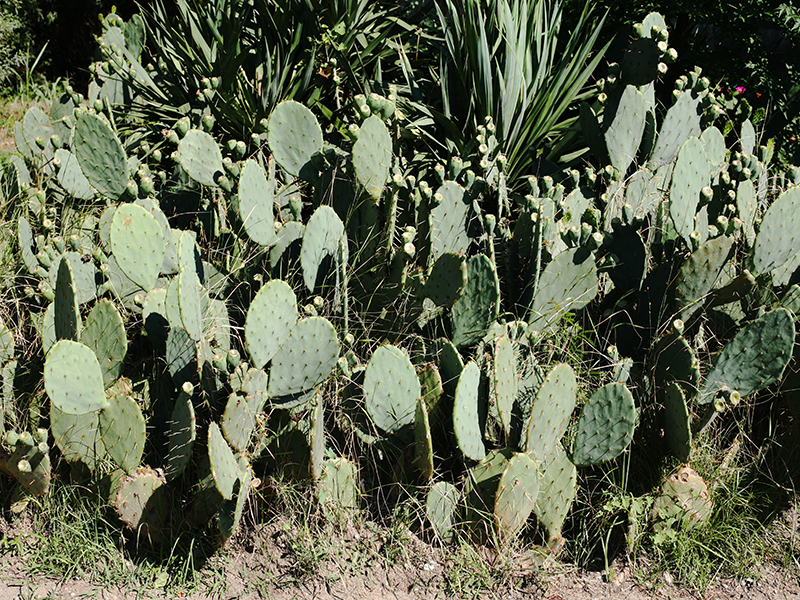      2012   