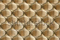 Моя фотография фона из латунных гаек в Фотобанке «Shutterstock»