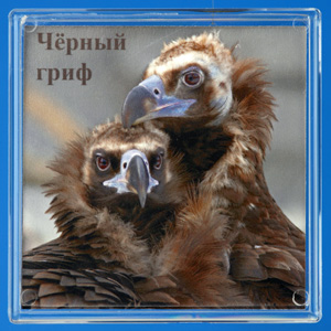Чёрный гриф. Чёрный гриф.
